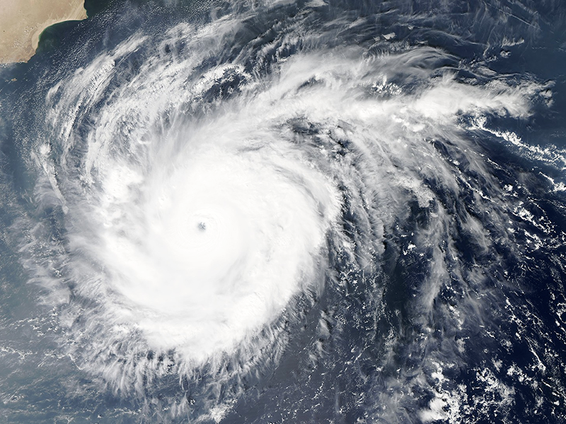 防御强台风时效延误通知