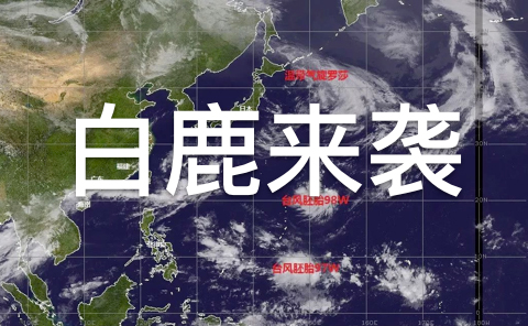 台风“白鹿”预警升级